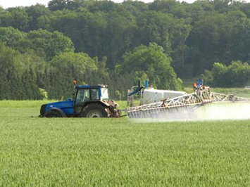 Giving Up Television, Agricultural Pesticides and Bee Hive Protection